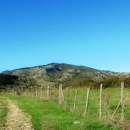 Jusu E Susu Montagna Mare * Mistretta